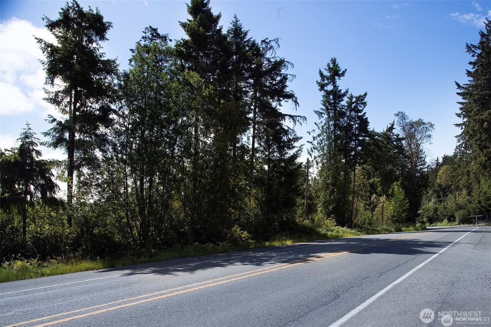 0 Clear Creek Road Northwest Silverdale, WA 98383 - Photo 2 of 7 a view of a yard