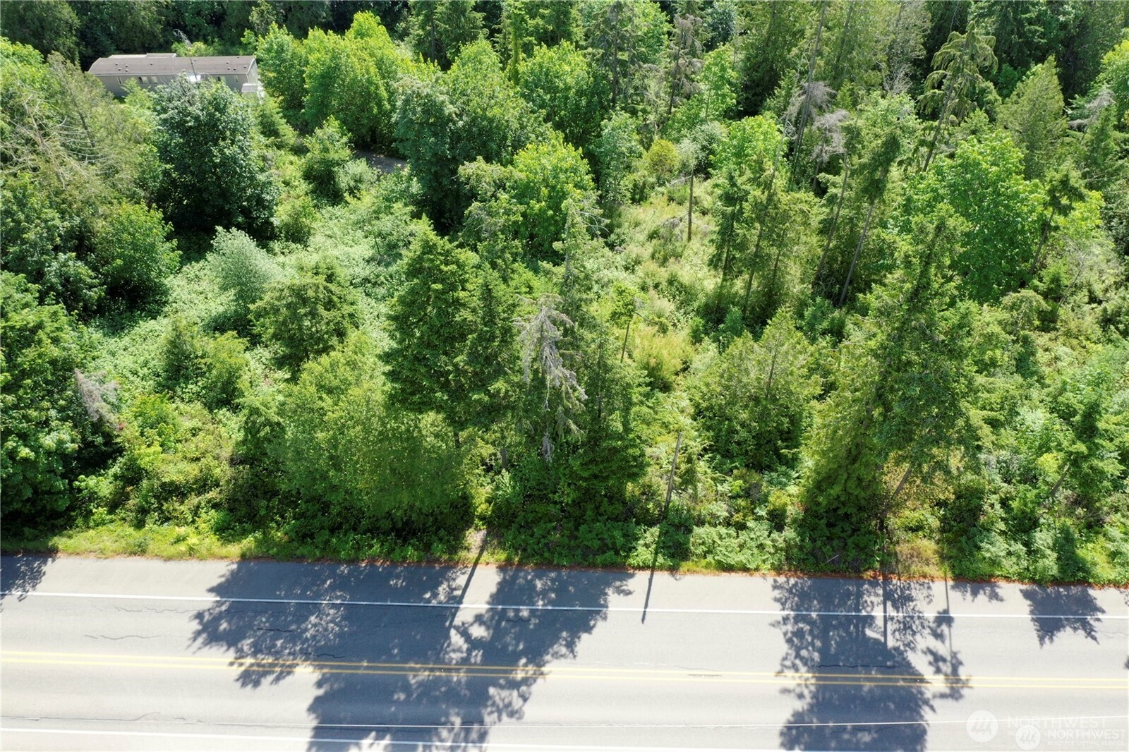0 Clear Creek Road Northwest Silverdale, WA 98383 - Photo 5 of 7 a view of a yard with plants