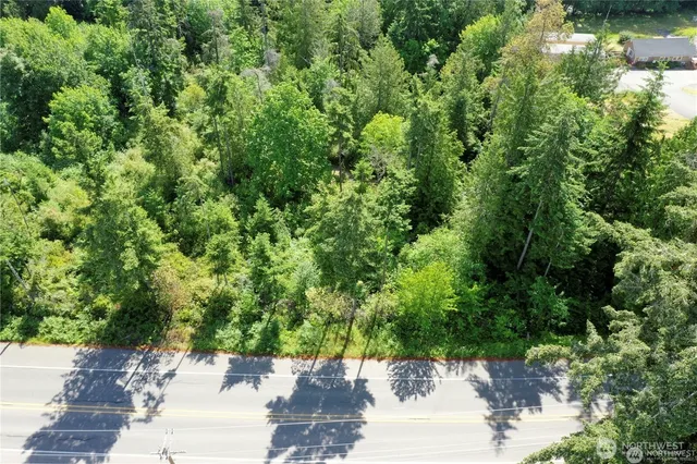 a view of a garden with plants