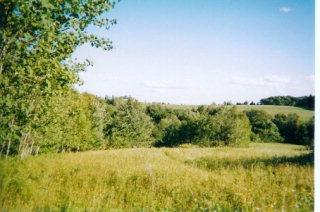 0 Waters Road Savona, NY 14879 - Photo 1 of 1