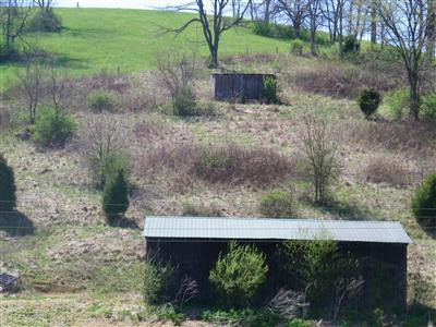 725 Old Ruckerville Road Winchester, KY 40391 - Photo 3 of 3 Photo 3