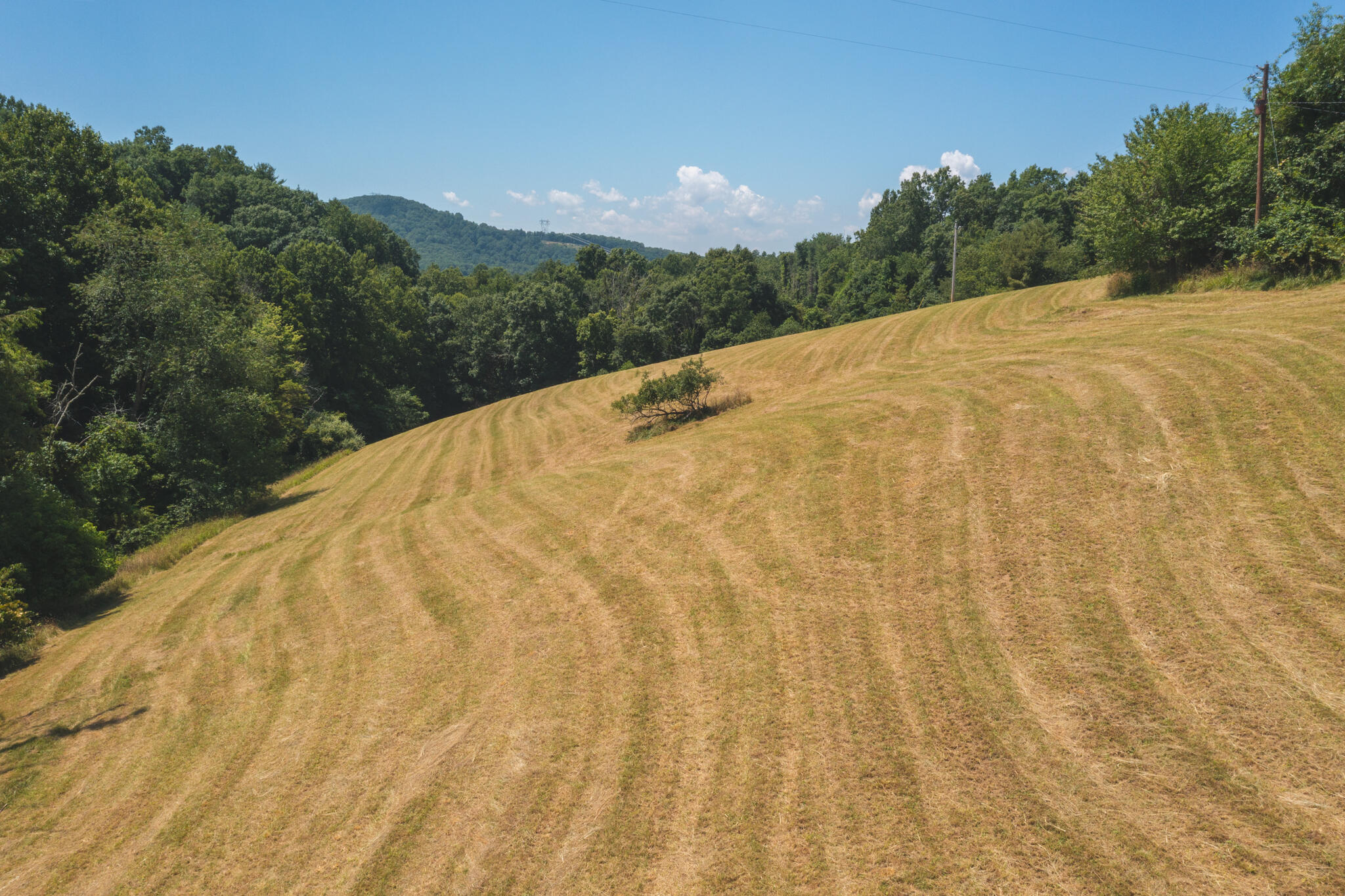 2438 White Rock Road Northwest Floyd, VA 24091 - Photo 37 of 47 DJI_0532