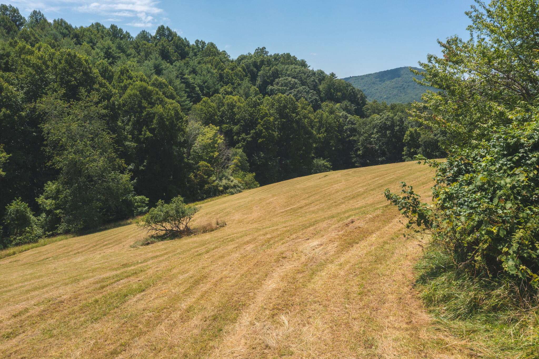 2438 White Rock Road Northwest Floyd, VA 24091 - Photo 39 of 47 DJI_0534