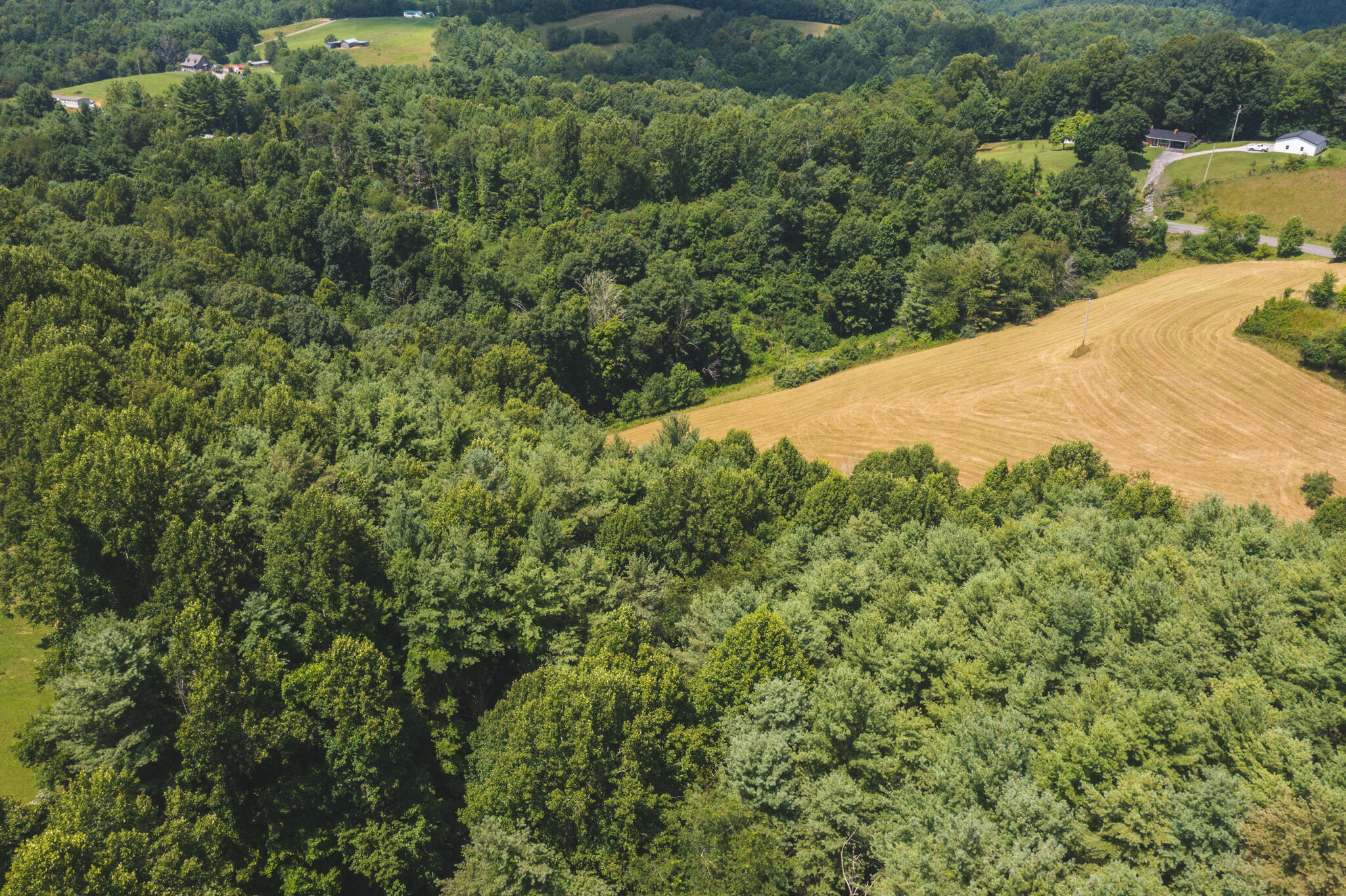 2438 White Rock Road Northwest Floyd, VA 24091 - Photo 45 of 47 DJI_0543