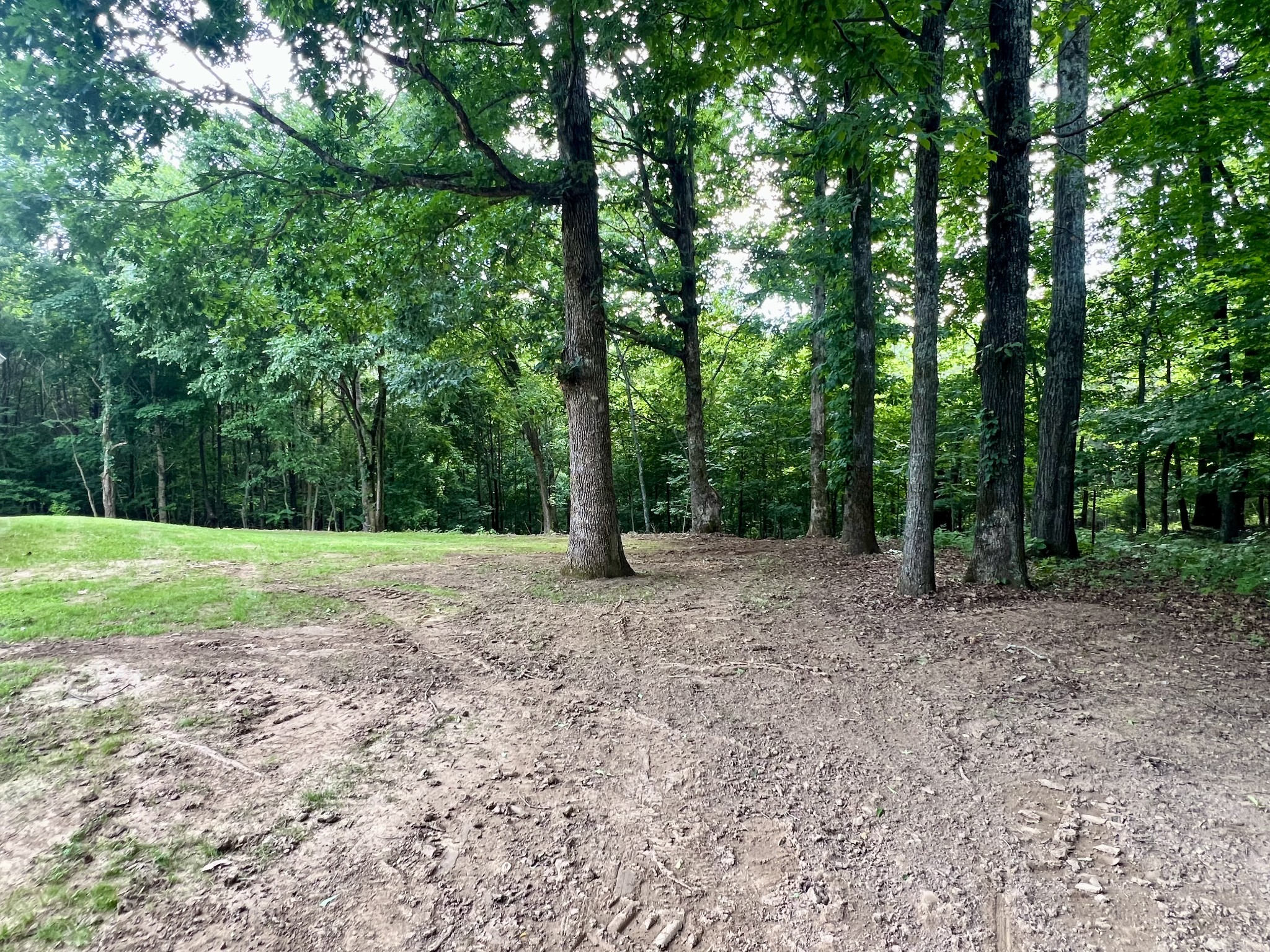 499 Scenic Hills Road Pulaski, TN 38478 - Photo 65 of 65