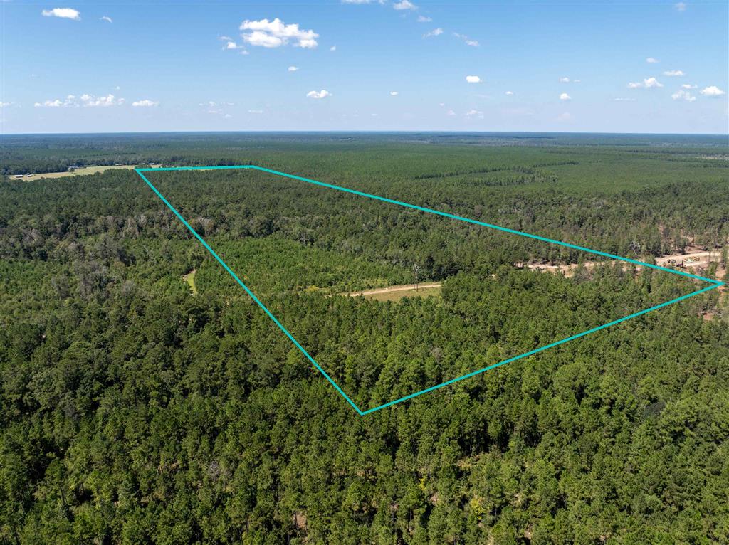 Beehive Loop Singer, LA 70660 - Photo 4 of 6