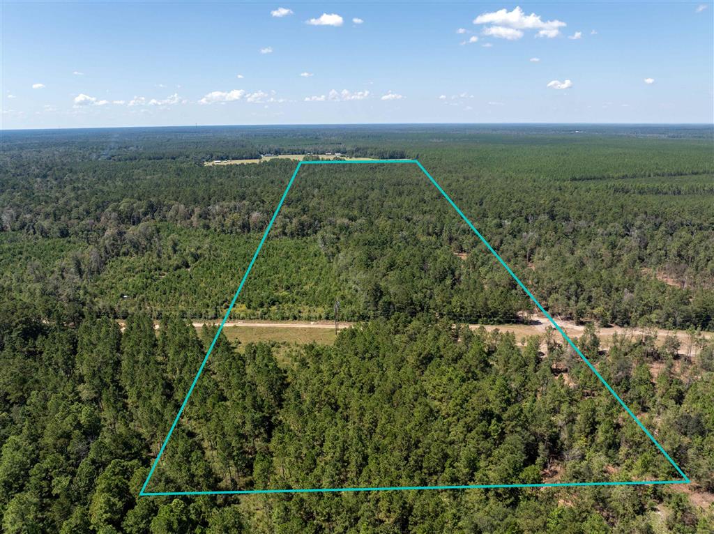 Beehive Loop Singer, LA 70660 - Photo 5 of 6