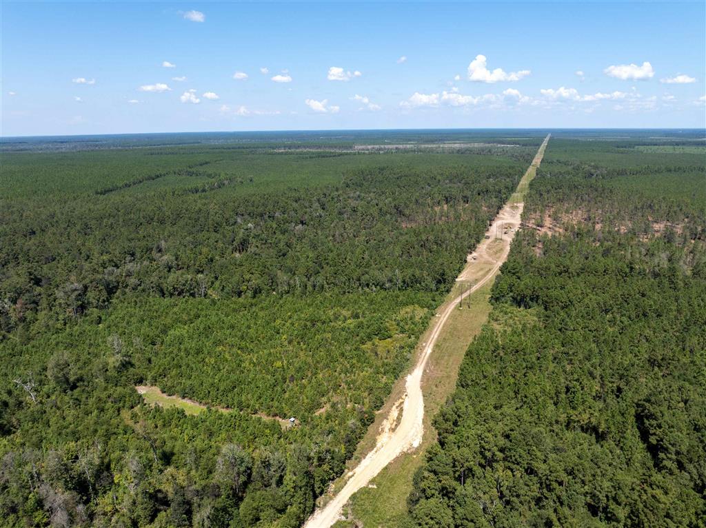 Beehive Loop Singer, LA 70660 - Photo 6 of 6