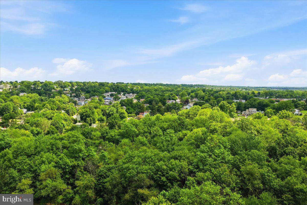 148 Regency Drive Eagleville, PA 19403 - Photo 40 of 42 Lush greenery meets serene skyline.
