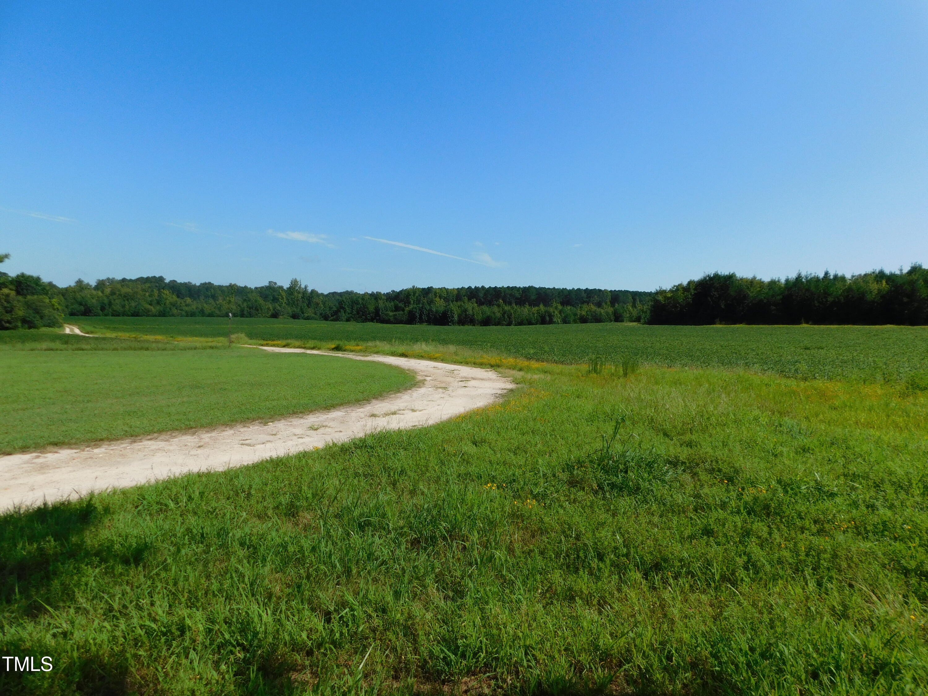 8186 Edwards Road Castalia, NC 27816 - Photo 1 of 19 DSCN0670