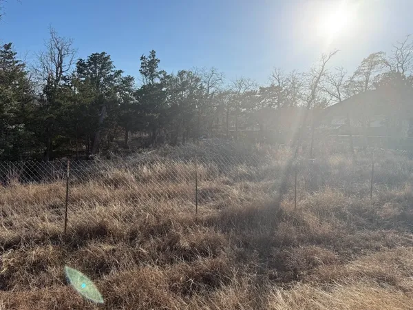 a view of a yard