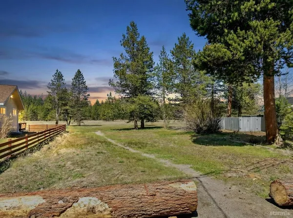 a view of a yard with plants and a trees