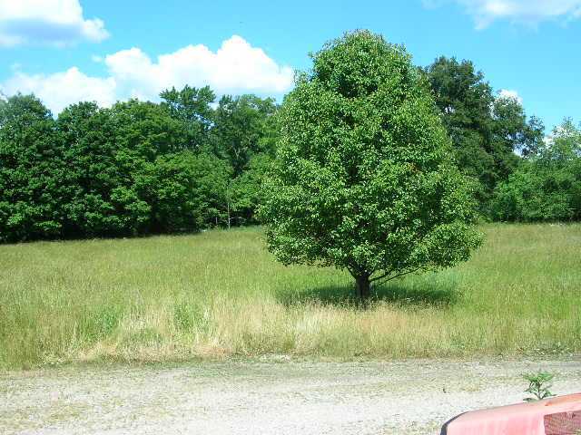 11114 Flint Ridge Road Newark, OH 43056 - Photo 11 of 11