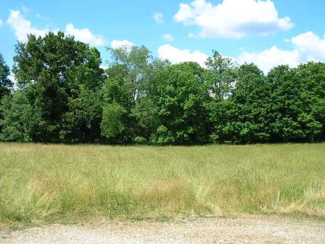 11114 Flint Ridge Road Newark, OH 43056 - Photo 6 of 11