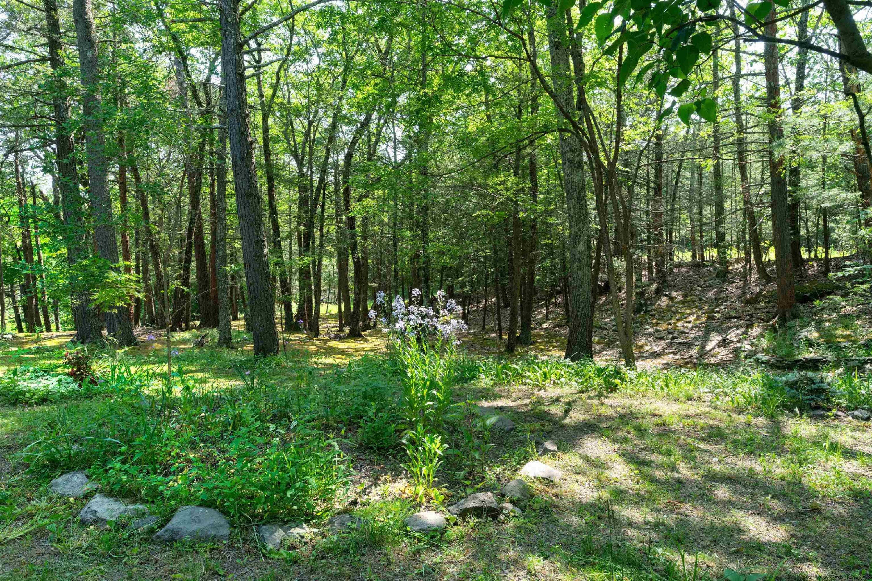 445 Stoll Road Saugerties, NY 12477 - Photo 4 of 26 Photo 4