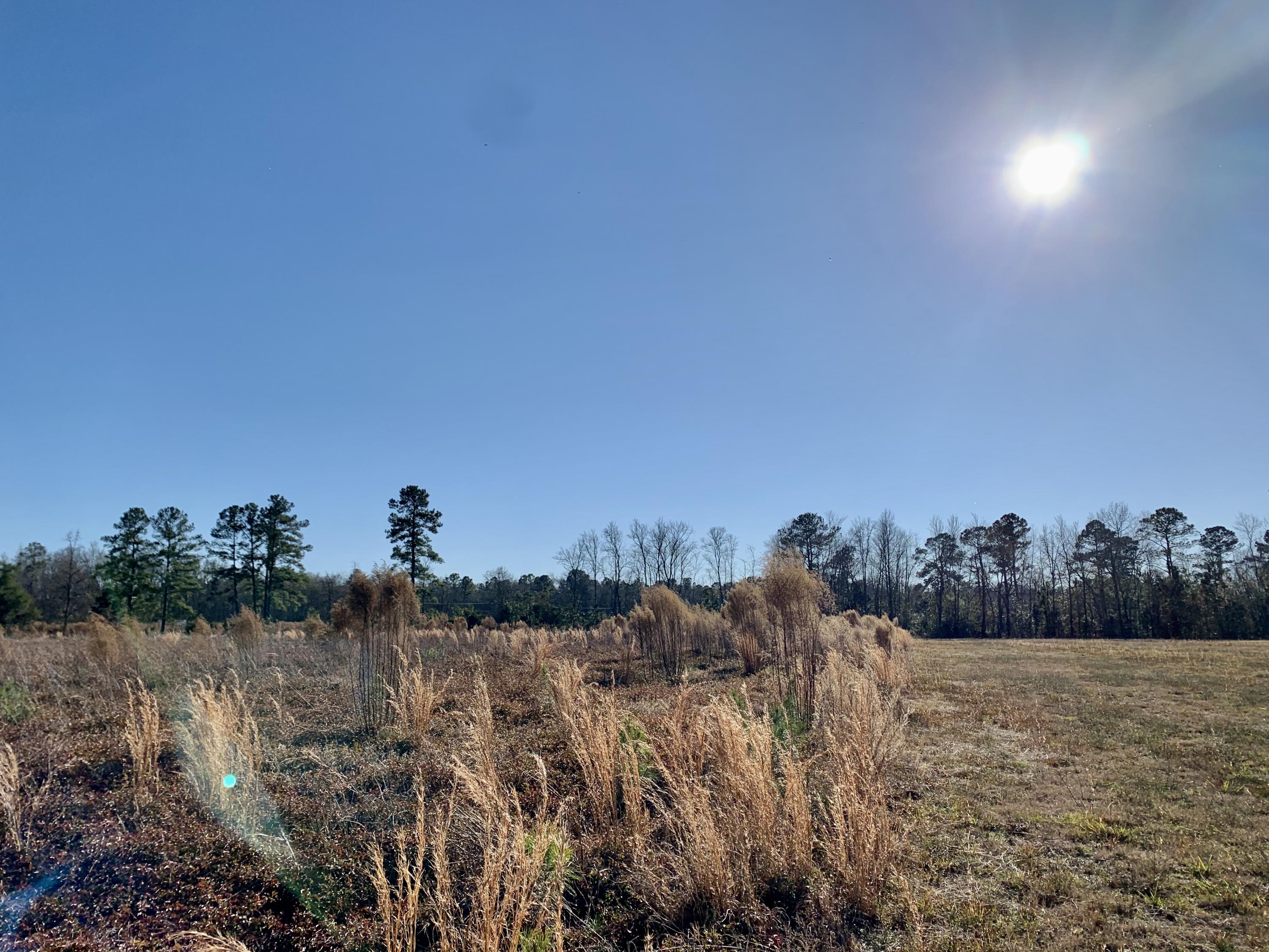 620 Nunuville Road Walterboro, SC 29488 - Photo 2 of 5 9CF4BAF2-F7F5-415C-AF9F-E736FED61AE6