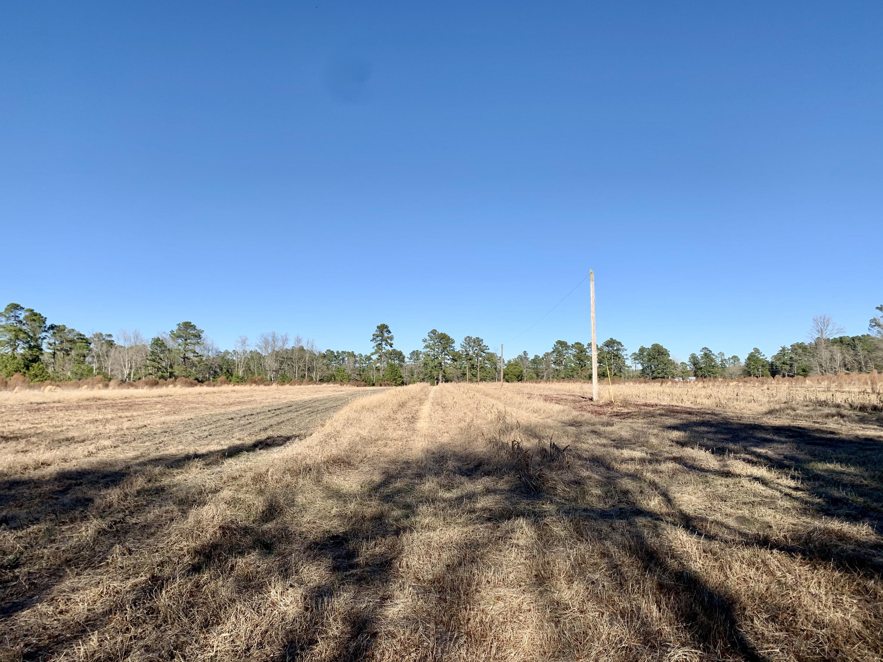 620 Nunuville Road Walterboro, SC 29488 - Photo 3 of 5 E3679FB3-0E14-4658-861E-AA7E80CD28DB