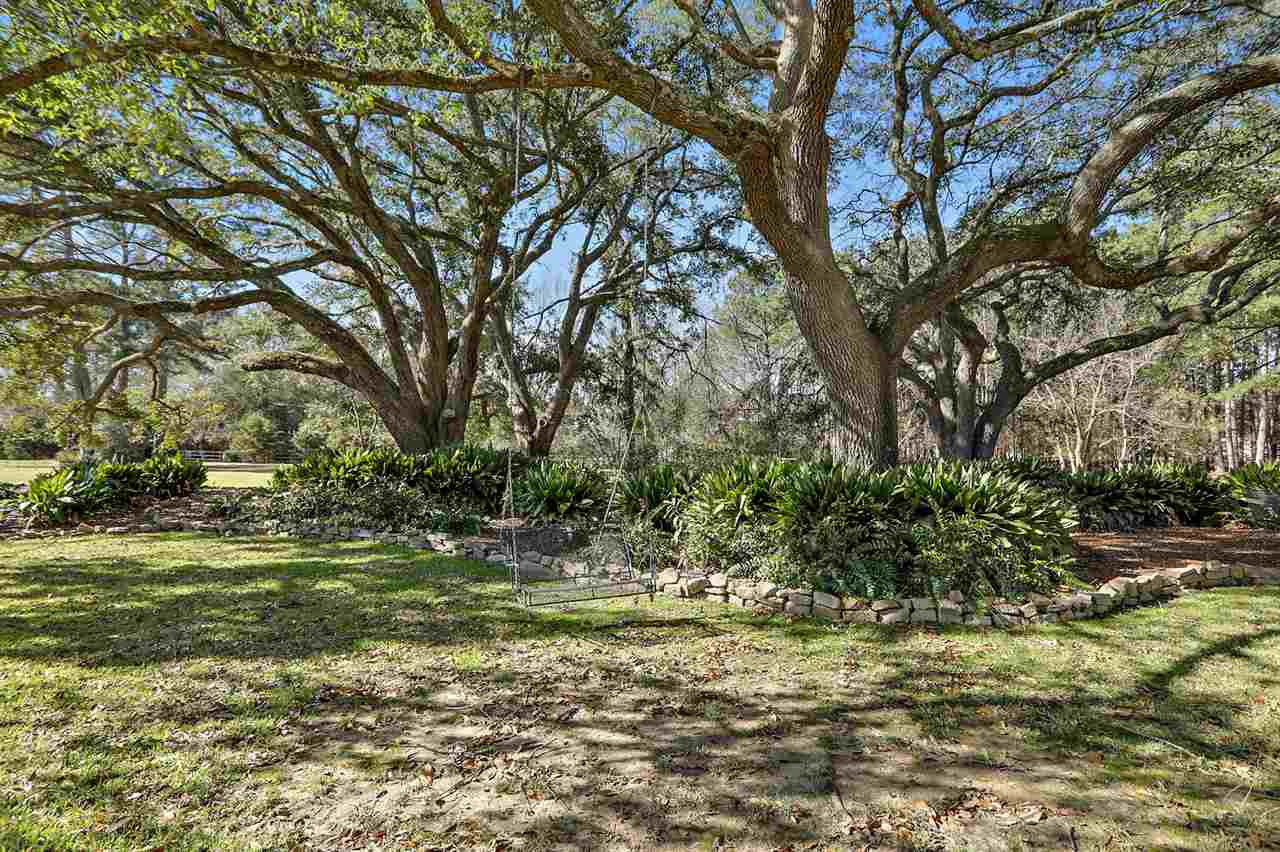565 Hoy Road Madison, MS 39110 - Photo 3 of 49 Photo 3