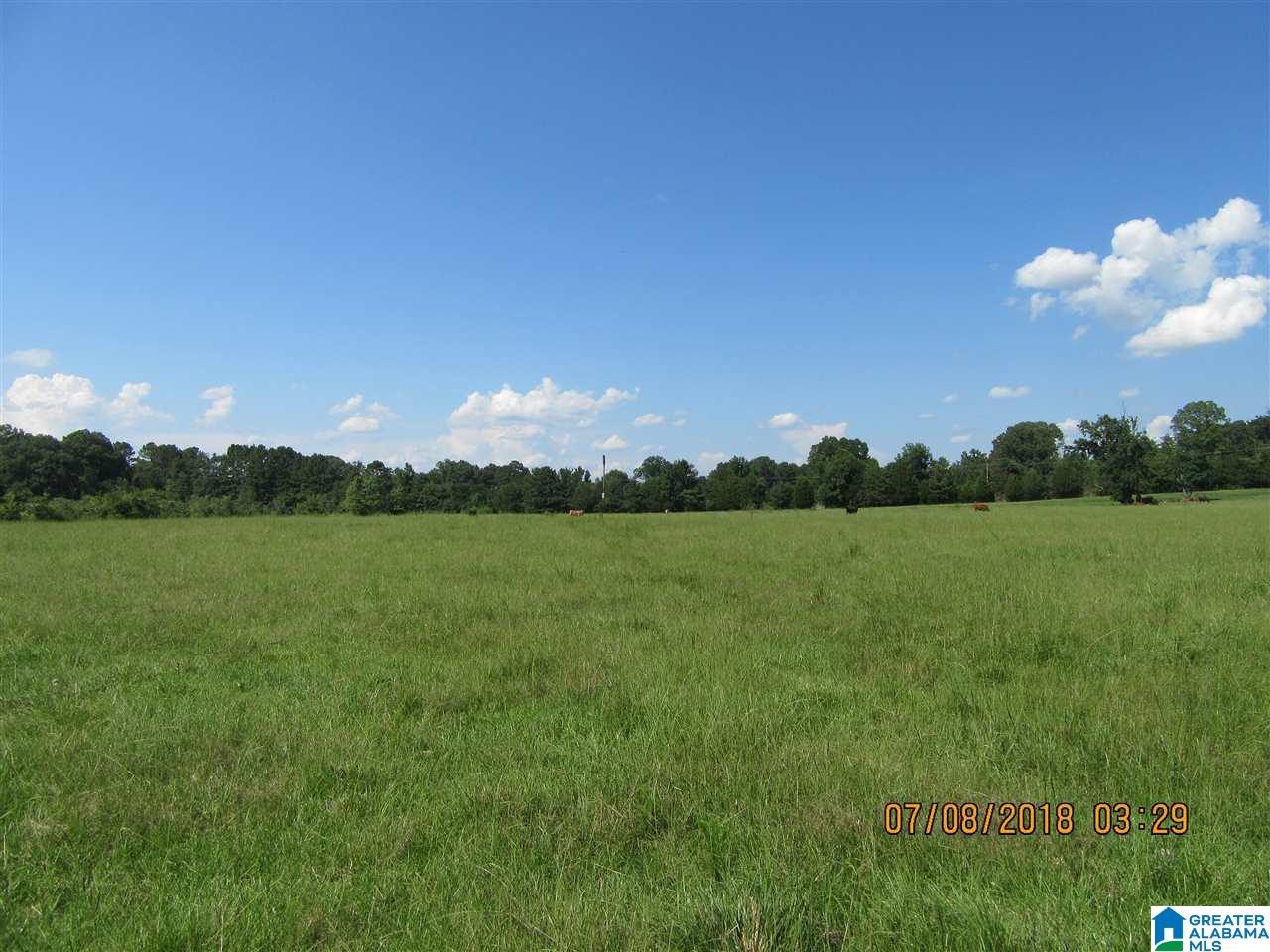 286 Turners Mill Road, Unit 1 Munford, AL 36268 - Photo 11 of 22 Gallery Image 11