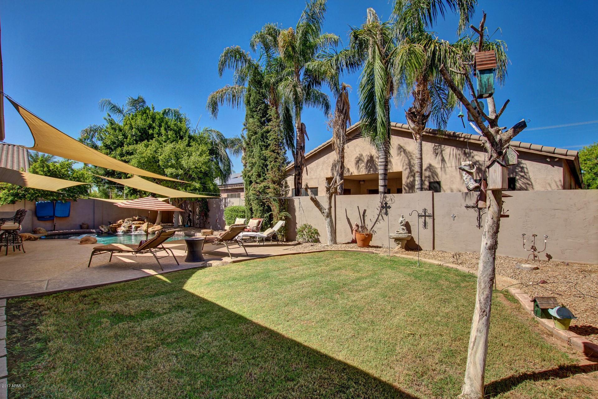 1646 East Cullumber Street Gilbert, AZ 85234 - Photo 34 of 37 Back Yard