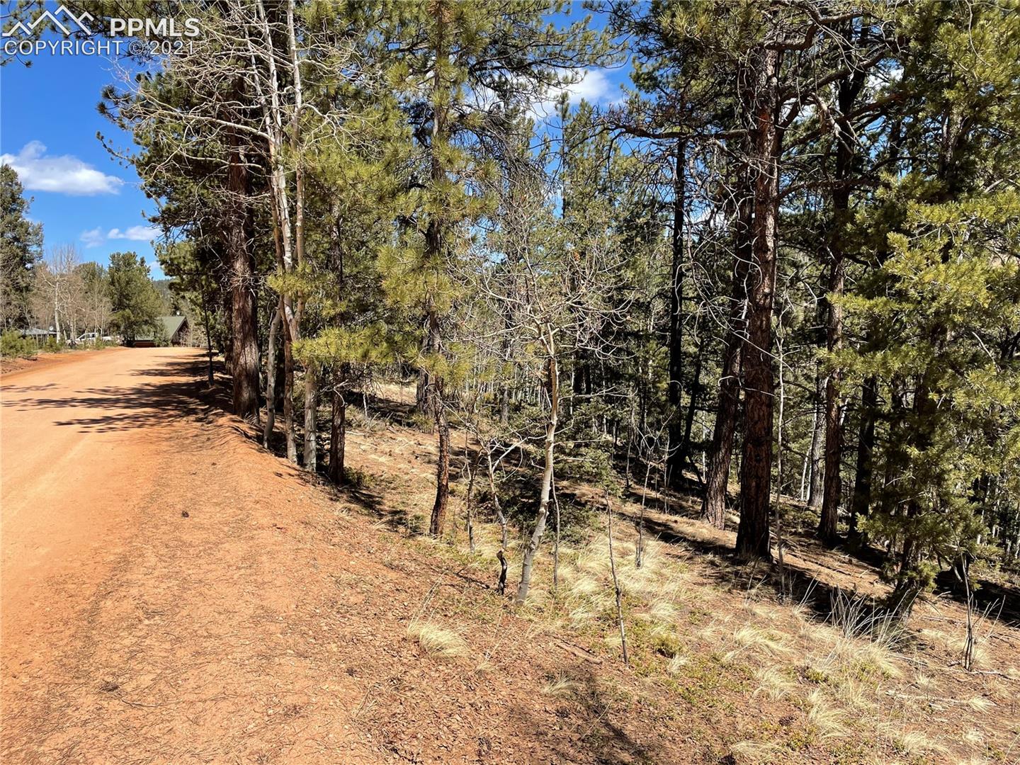 444 Timber Ridge Road Divide, CO 80814 - Photo 1 of 10