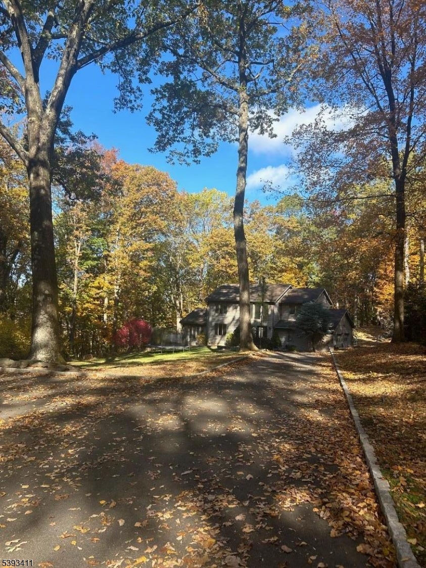 102 Drakestown Road Hackettstown, NJ 07840 - Photo 2 of 28 a view of a yard with an tree