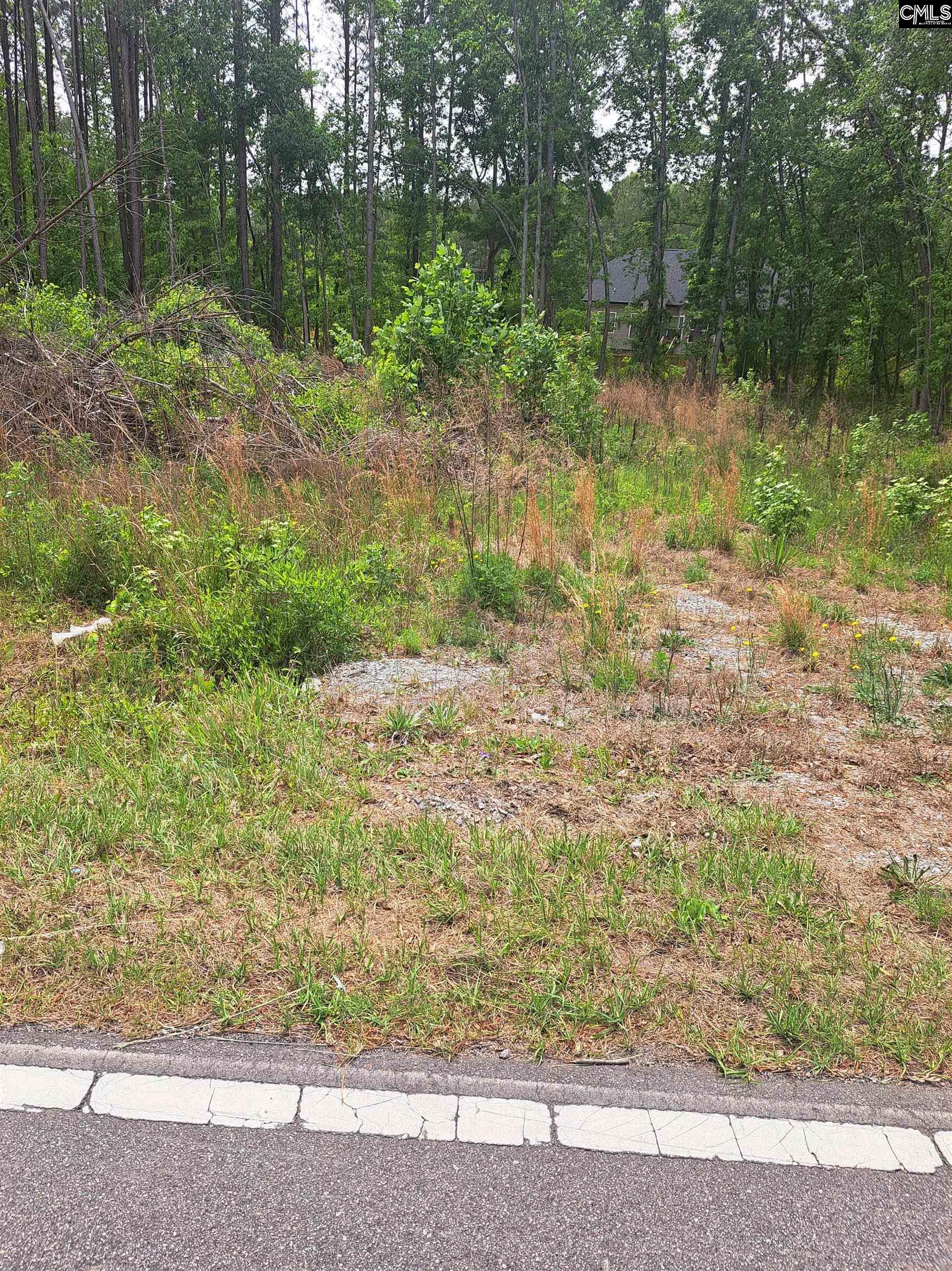 460 Grover Wilson Road Blythewood, SC 29016 - Photo 10 of 19
