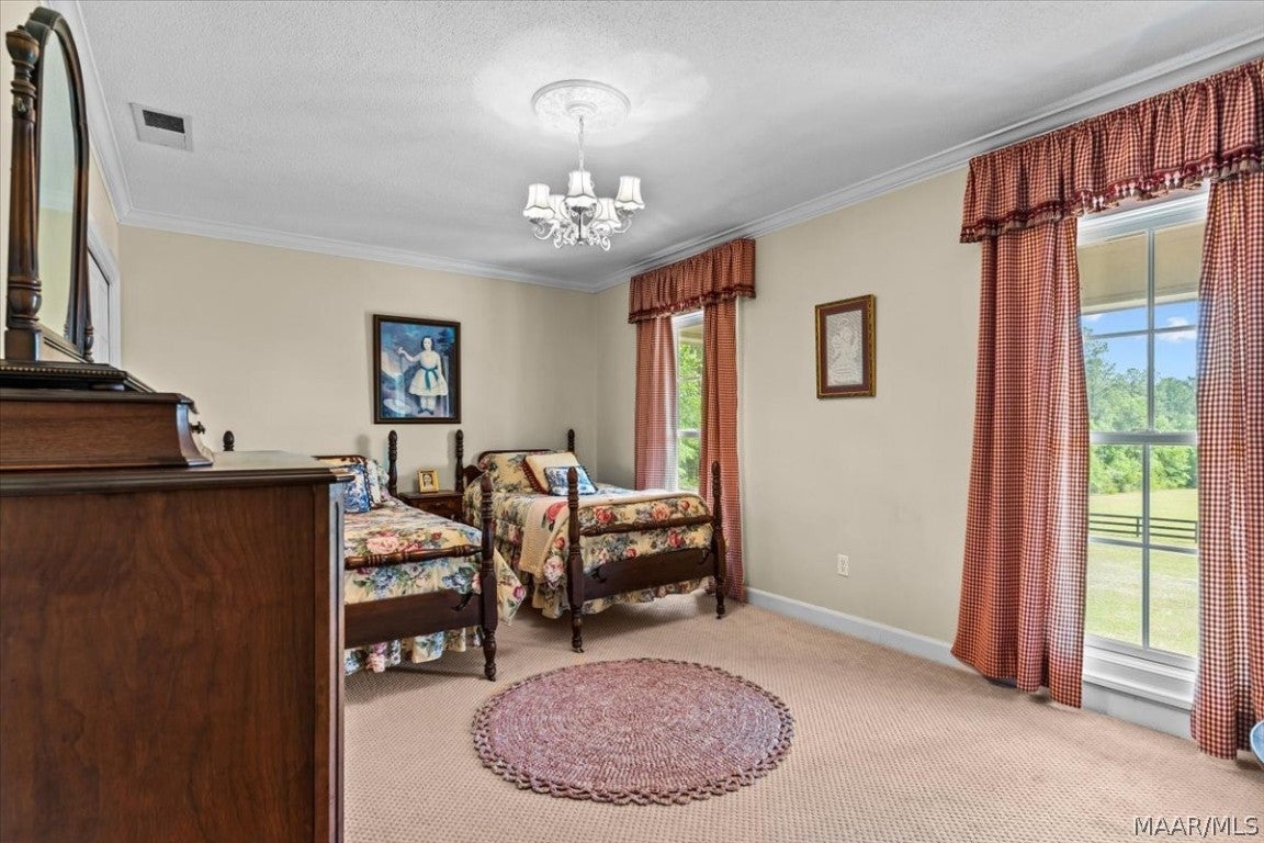 2613 Goose Hollow Road Geneva, AL 36340 - Photo 32 of 63 Gallery Image 32