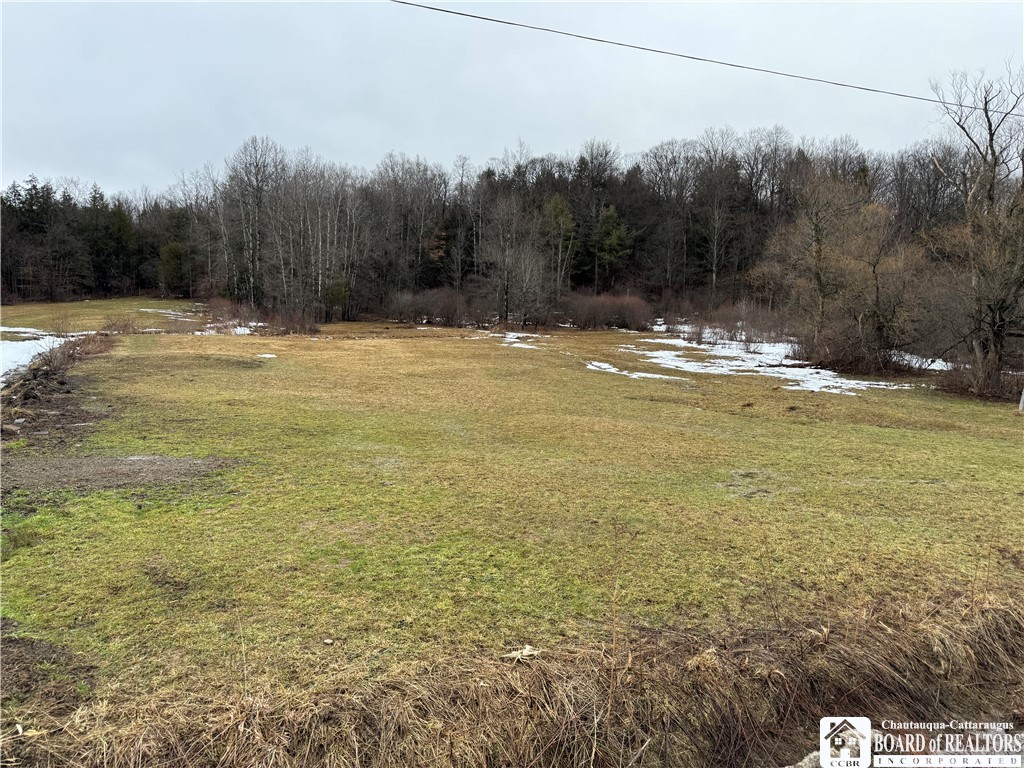 Lot A Sugartown Road Great Valley, NY 14741 - Photo 3 of 11