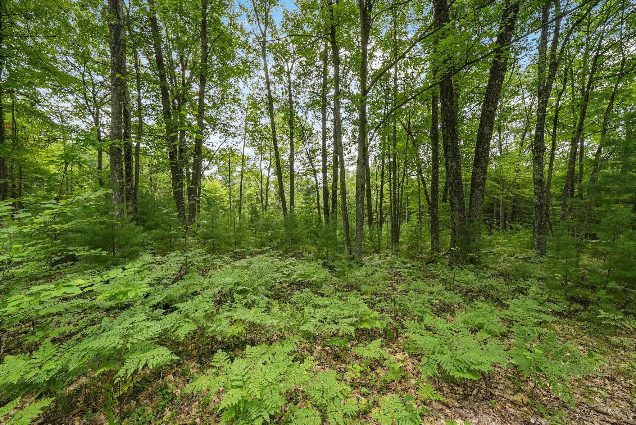 1050 North 47 1/2 Road Manton, MI 49663 - Photo 23 of 28 Gallery Image 23