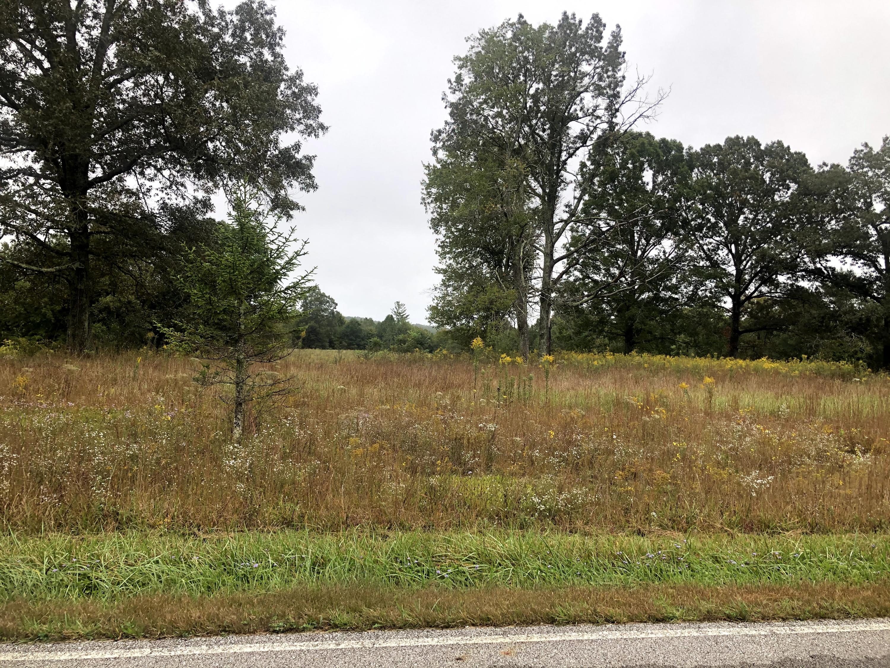 62.41-ac Rome Road Lancing, TN 37770 - Photo 20 of 20 IMG_4607