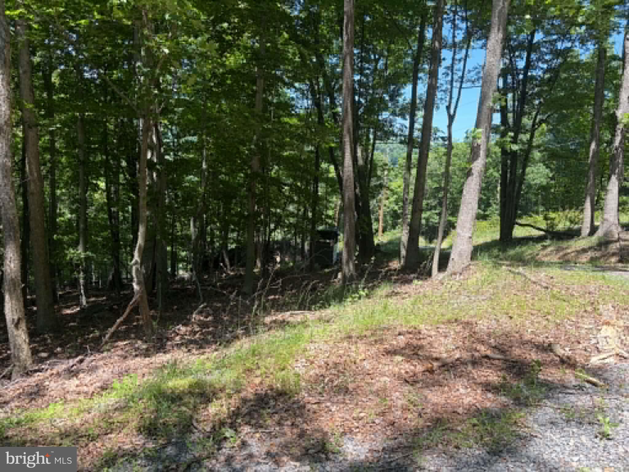 1515 Barnum Road Keyser, WV 26726 - Photo 44 of 64