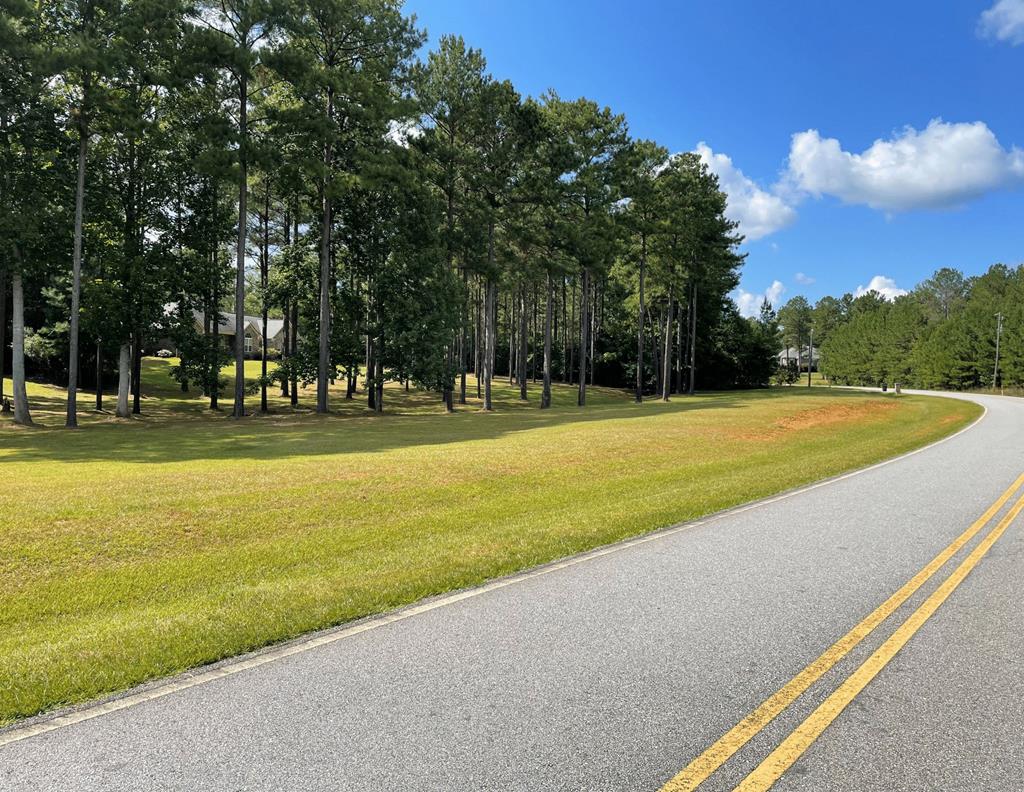 Lot #10 Voorhees Road Hamilton, GA 31811 - Photo 2 of 8 Gallery Image 2
