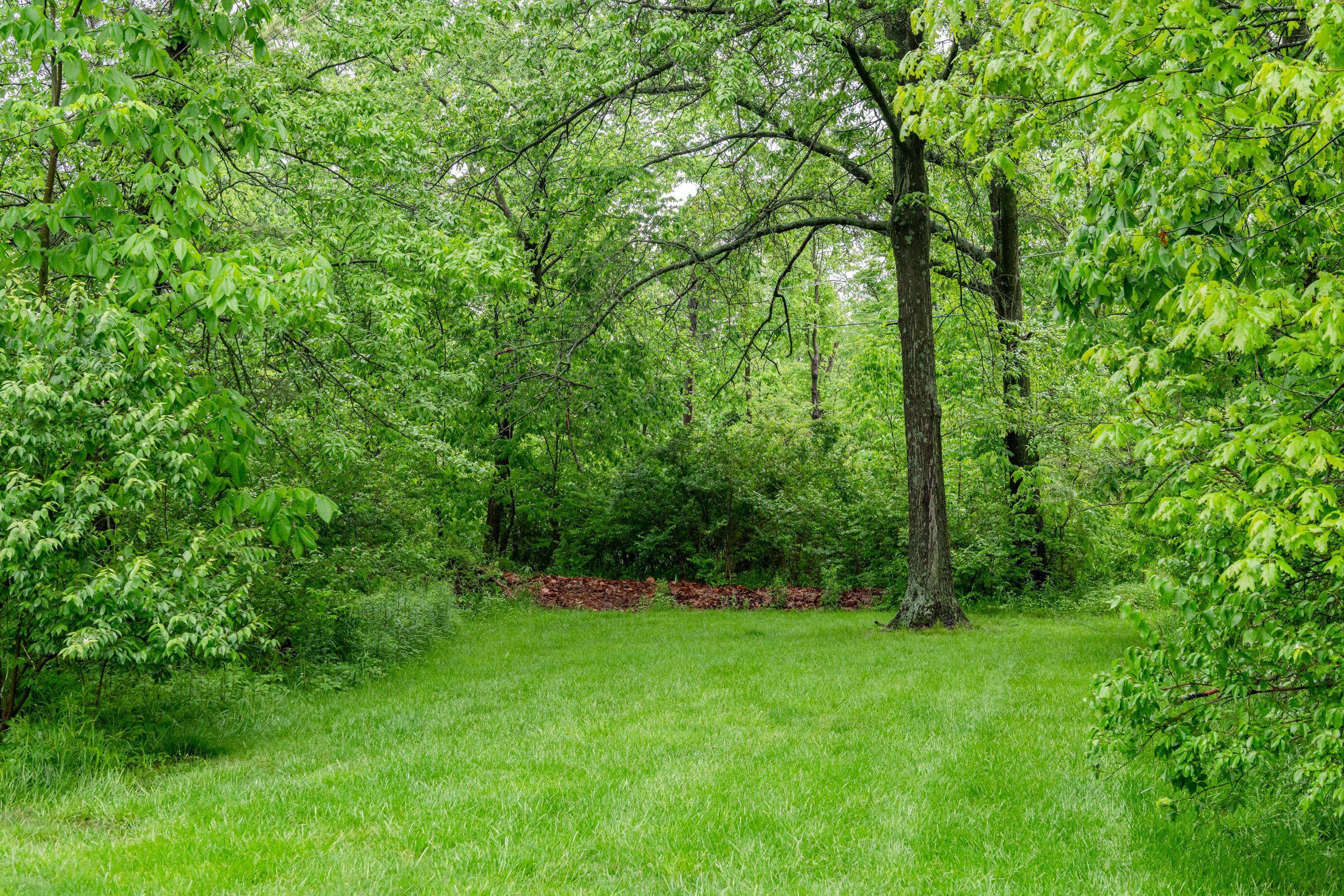 1625 Rustic Ridge Road Urbana, OH 43078 - Photo 15 of 67 View of the Property