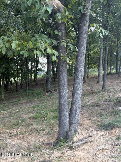 199 Lees Chapel Road Sweetwater, TN 37874 - Photo 16 of 17 80971162962__FAF246B8-0171-485F-9E42-E34