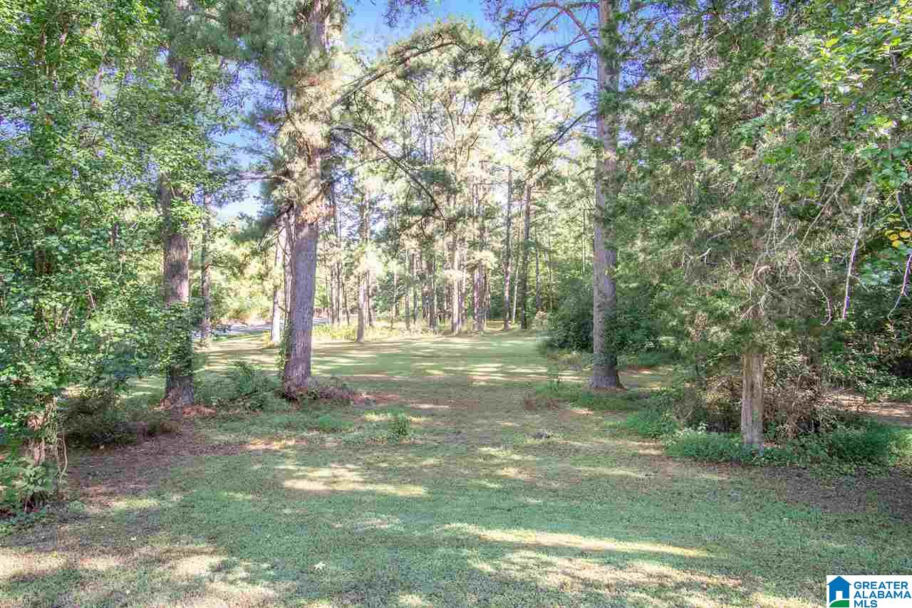7545 Cedar Mountain Road Pinson, AL 35126 - Photo 5 of 36