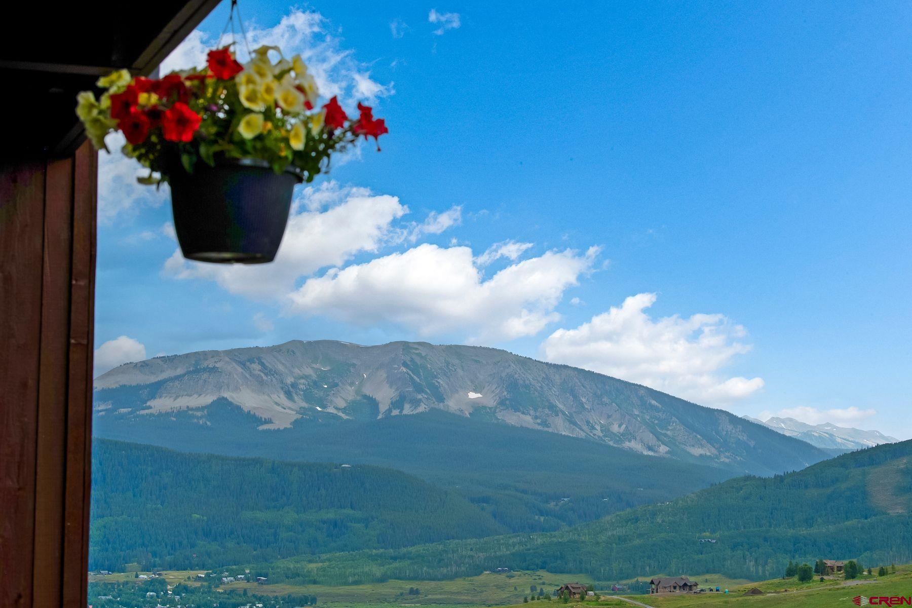 32 Hunter Hill Road, Unit B204 Crested Butte, CO 81225 - Photo 24 of 33 a view of a flower