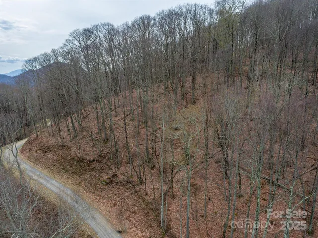 $7,900 | 0 Chestnut Lane, Unit 100, Mars Hill, NC 28754