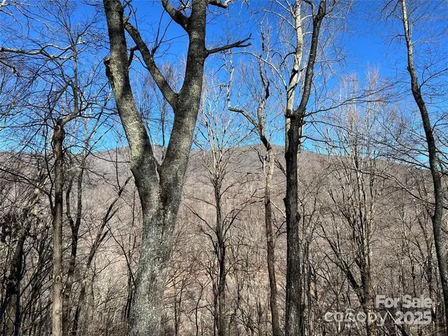 $7,900 | 0 Chestnut Lane, Unit 100, Mars Hill, NC 28754