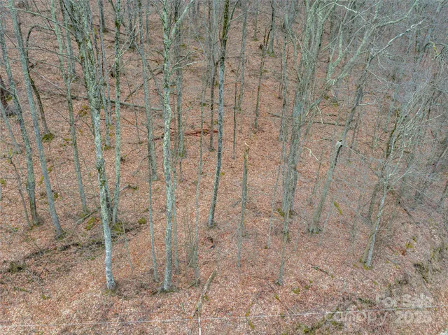 $7,900 | 0 Chestnut Lane, Unit 100, Mars Hill, NC 28754