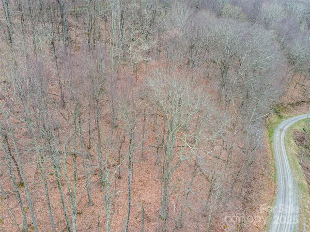 $7,900 | 0 Chestnut Lane, Unit 100, Mars Hill, NC 28754