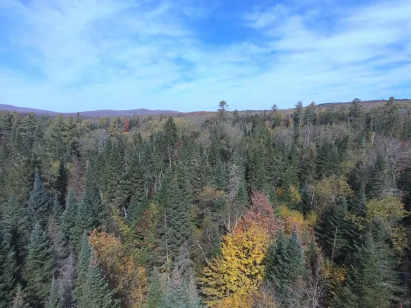 $165,000 | 0 Thomas West Road, Lunenburg, VT 05906