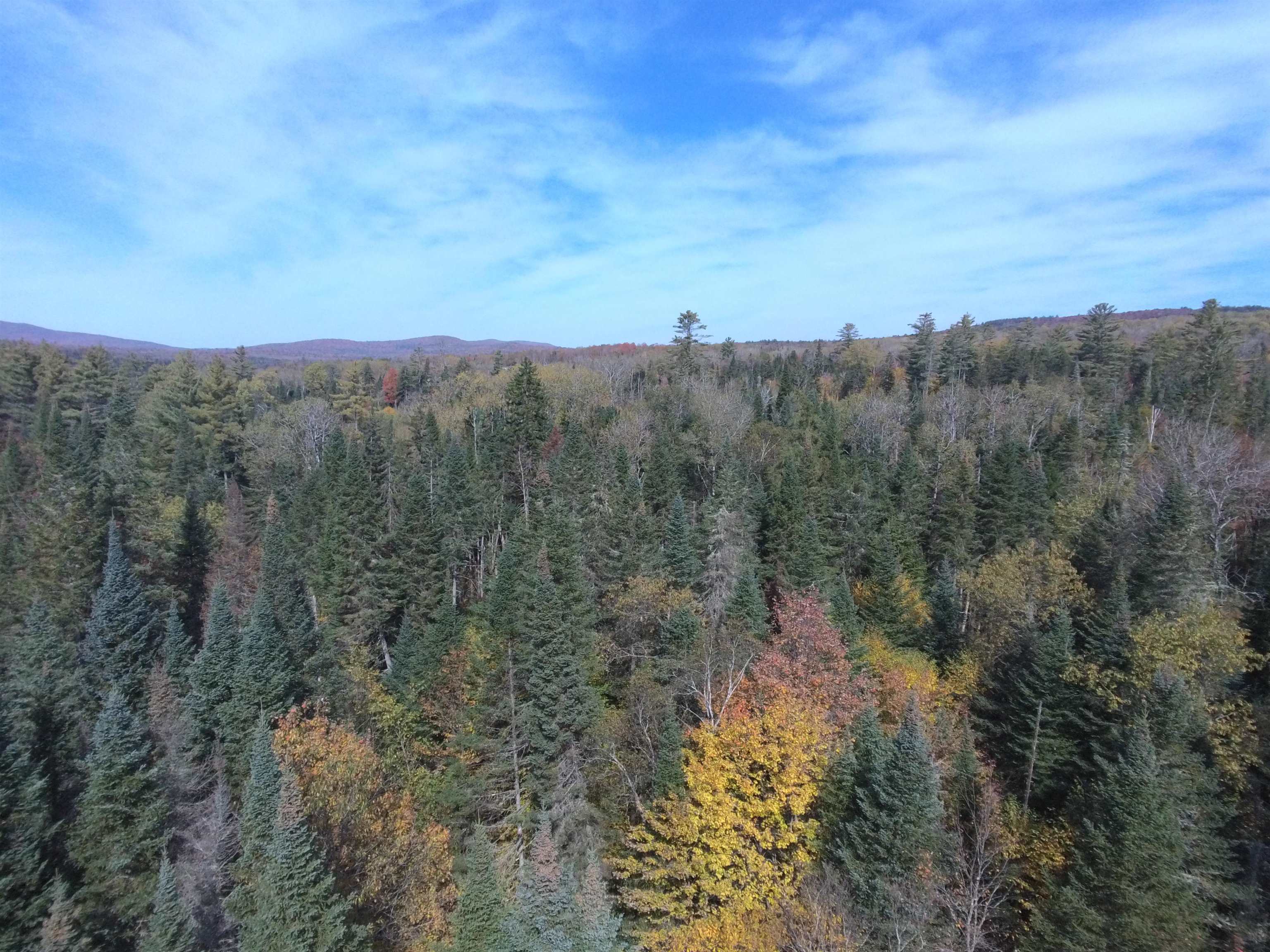 0 Thomas West Road Lunenburg, VT 05906 - Photo 1 of 17