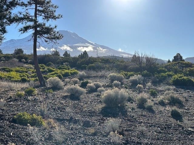 8 Jackson Ranch Road Weed, CA 96094 - Photo 6 of 6 Gallery Image 6