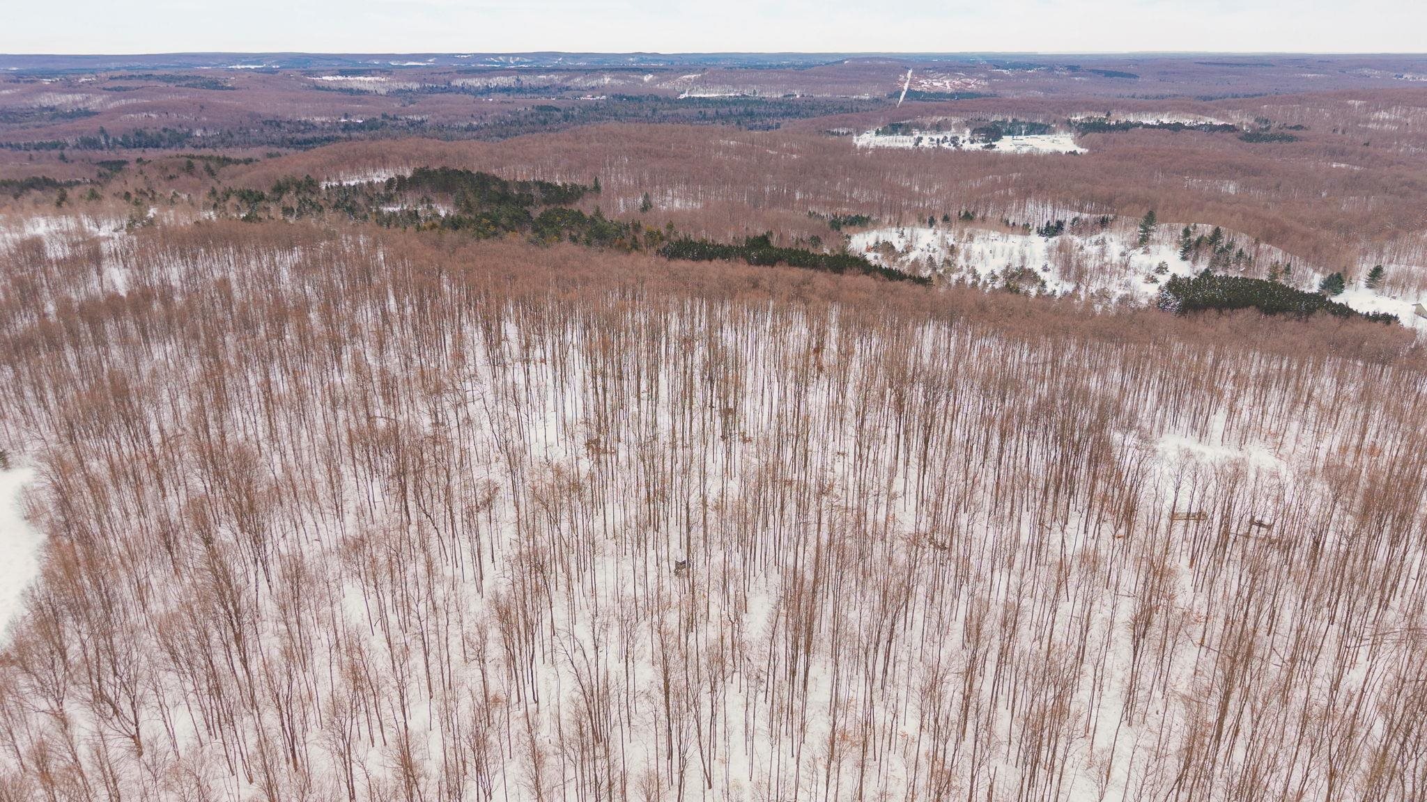 0 Stark Road, Unit LOT: 17 Mancelona, MI 49659 - Photo 17 of 22