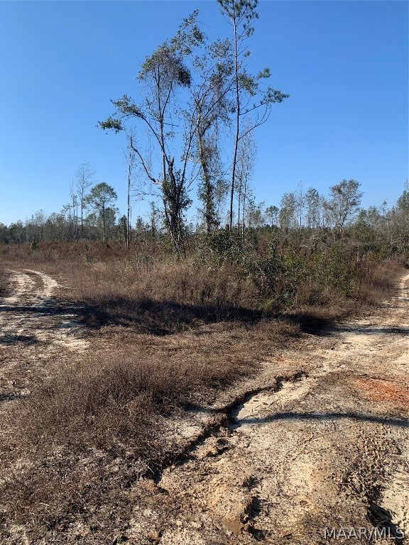 0 Old Three Notch Road Brantley, AL 36009 - Photo 10 of 14 Gallery Image 10