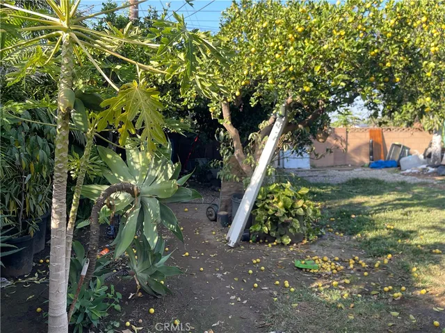 a view of a backyard with plants and a garden