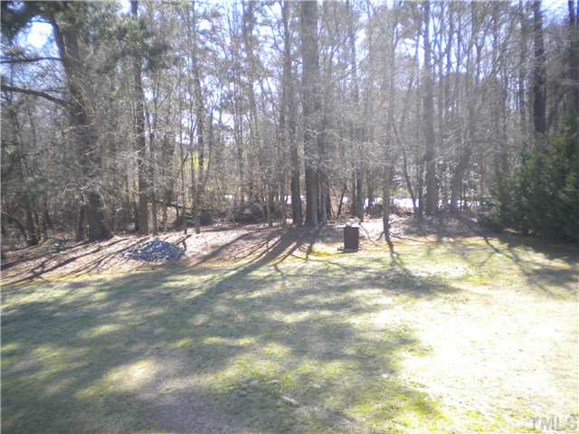 115 Forest Ridge Drive Willow Spring, NC 27592 - Photo 14 of 17 a view of a yard with a tree