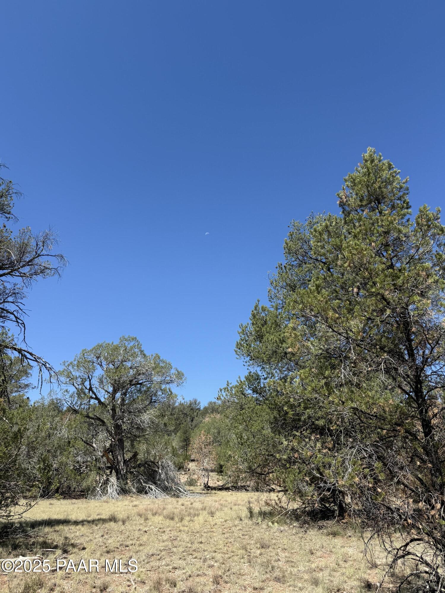 Lot 99 Shadow Rock Ranch Seligman, AZ 86337 - Photo 12 of 17 a view of a yard with a mountain