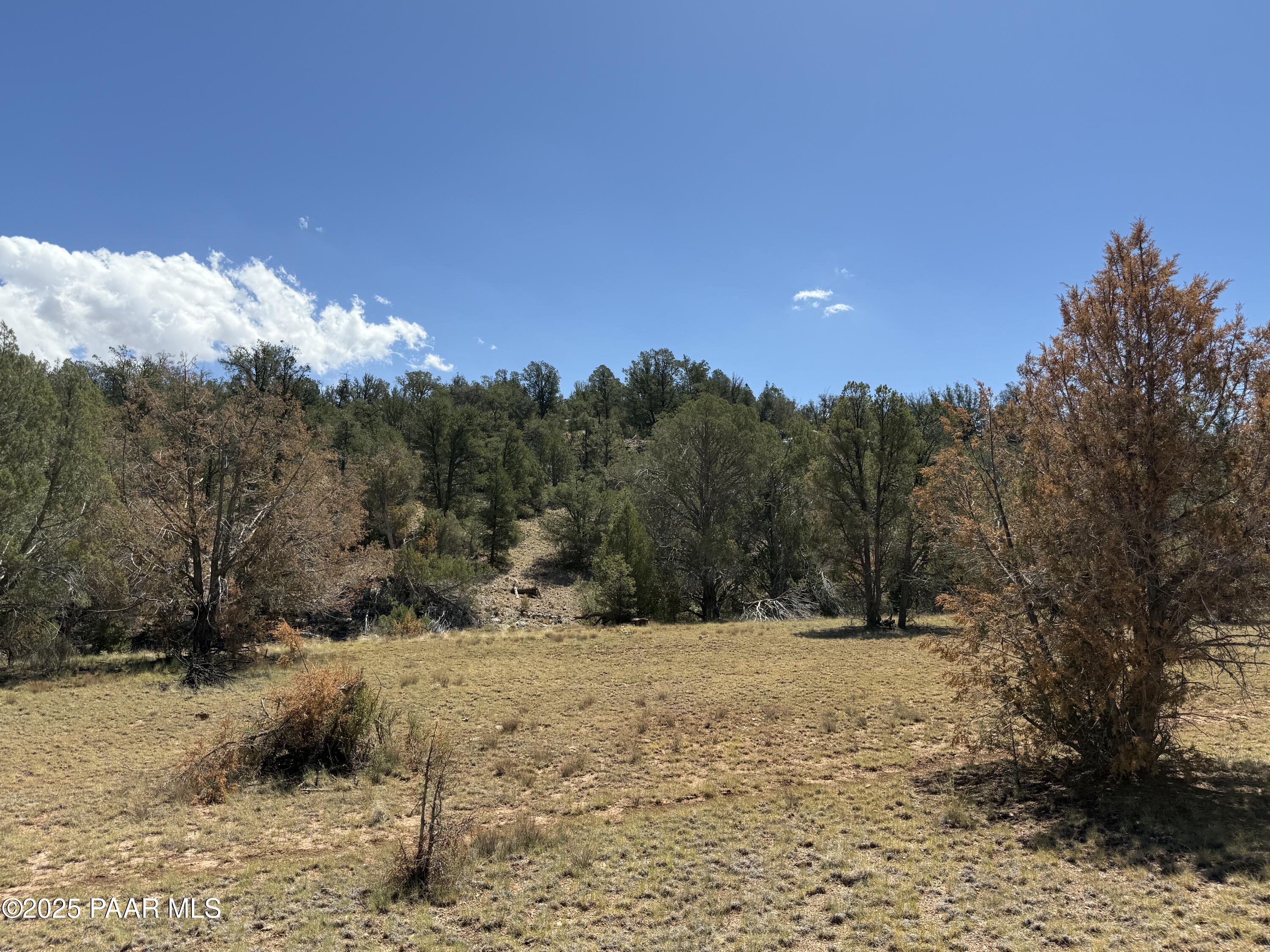 Lot 99 Shadow Rock Ranch Seligman, AZ 86337 - Photo 14 of 17 a view of snow covered with snow